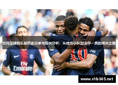 甘冈足球俱乐部历史沿革与现状分析：从地方小队到法甲一员的成长之路