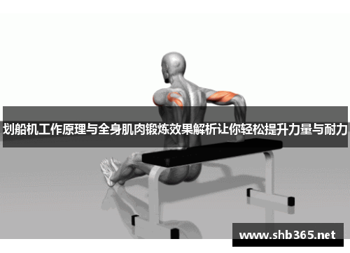 划船机工作原理与全身肌肉锻炼效果解析让你轻松提升力量与耐力