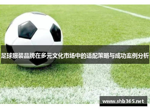 足球服装品牌在多元文化市场中的适配策略与成功案例分析