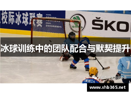 冰球训练中的团队配合与默契提升