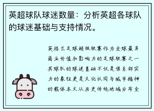 英超球队球迷数量：分析英超各球队的球迷基础与支持情况。