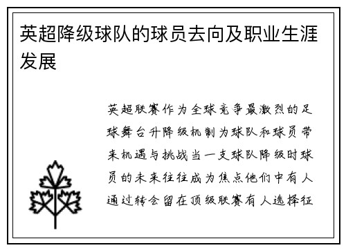 英超降级球队的球员去向及职业生涯发展